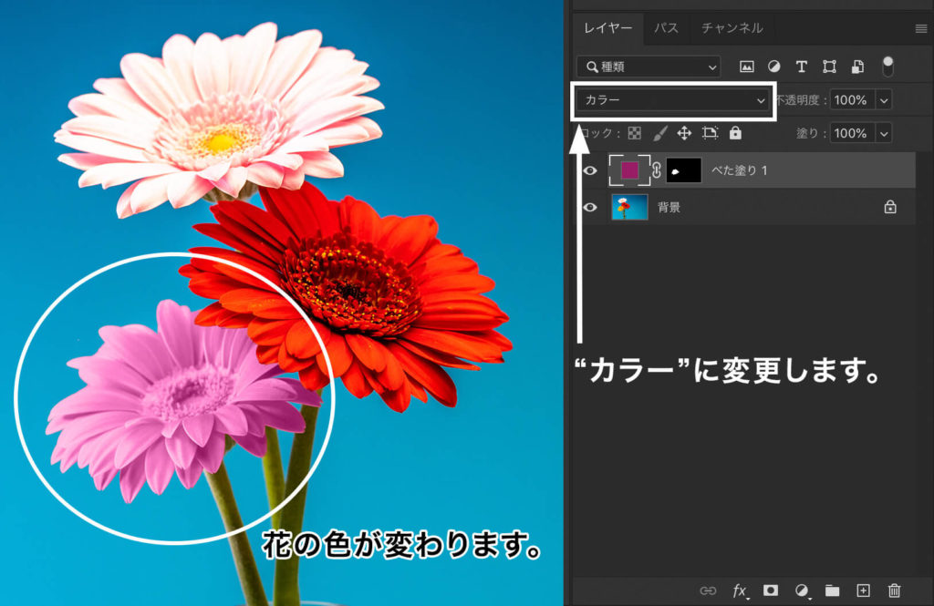 Photoshopで色を変える方法2種類 Shelfull シェルフル